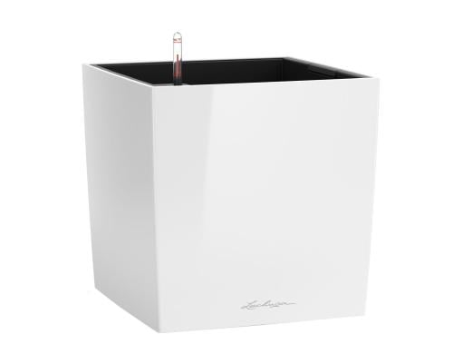 Zum Warenkorb hinzufügen