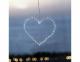 172202_thumbnail