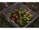 188670_thumbnail