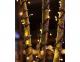 188152_thumbnail