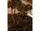 192232_thumbnail